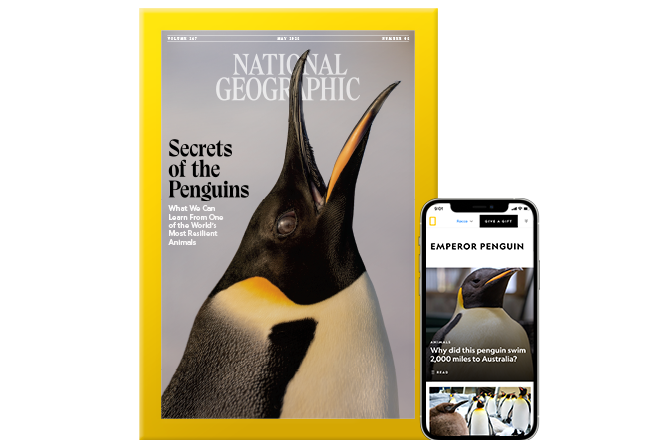 Select Nat Geo Digital & Print