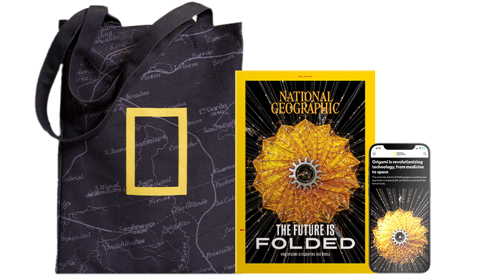 National Geographic magazine, book, and tote bag Gif