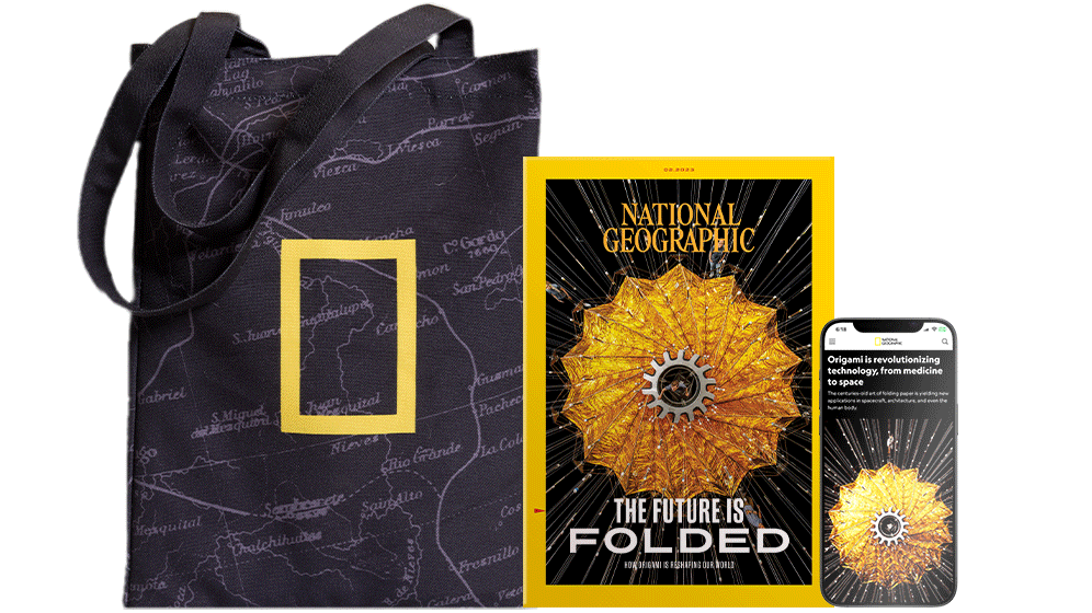 National Geographic magazine, book, and tote bag Thumbnail