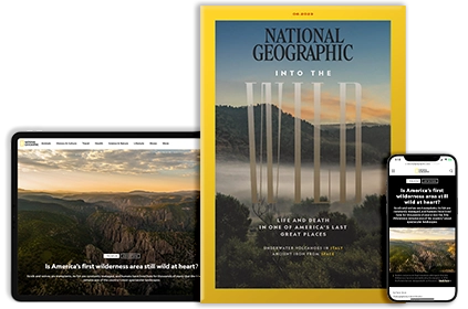 NGM Digital + print Cover