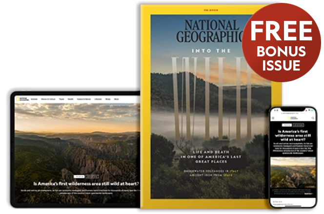 NGM Digital + print Cover